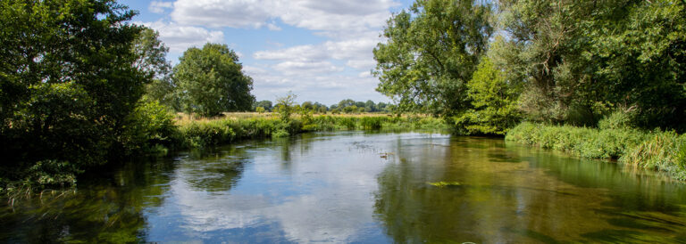 Hampshire Chalkstreams