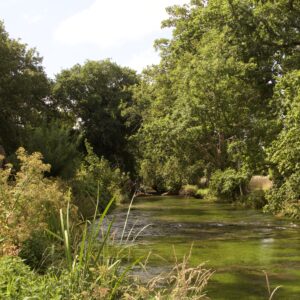 Mottisfont Abbey – 21 Aug 2026