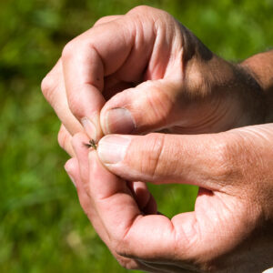 Learn to Fly Fish Introduction (email voucher)