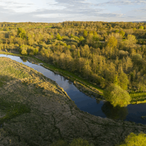 The Wilderness – 23 Jul 2026