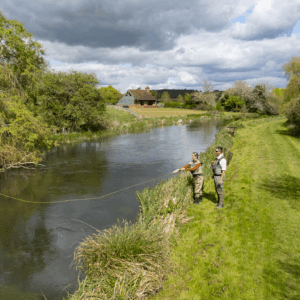 The Wilderness – 02 Jul 2026