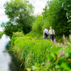 Lamb Stream – 01 Aug 2027